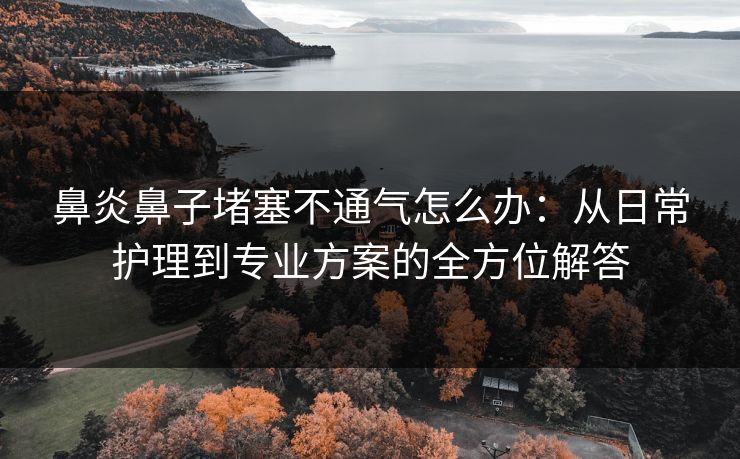 鼻炎鼻子堵塞不通气怎么办：从日常护理到专业方案的全方位解答