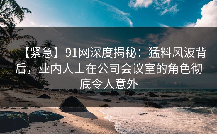 【紧急】91网深度揭秘：猛料风波背后，业内人士在公司会议室的角色彻底令人意外